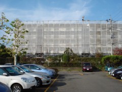 Welcome To The Jungle