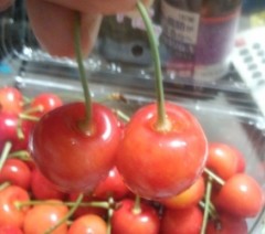 ３連休なのに・・・(￣Д￣;)