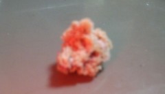 (￣Д￣;) ・・・・