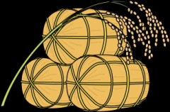 米騒動・・・(￣∇+￣)v