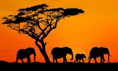 最近のハマリもん・・・・(￣ー+￣)