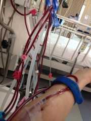 見つけた！・・・・(￣ー+￣)