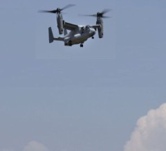 はじめて見た！！・・・(￣∇+￣)v