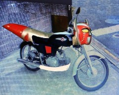 気をつけろ！・・・(￣∇+￣)v