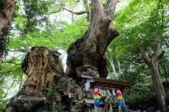 興味の対象～♪・・・(￣∇+￣)v