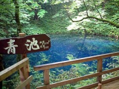 春めいてきたので・・・(￣∇+￣)v