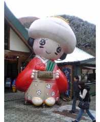 キティちゃん？