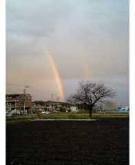 虹！！！女子バレー監督アホか＞？