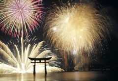 【お題日記】見た目と中身、どっちが大事？