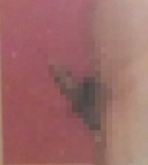 【お題日記】Hは濃厚？淡泊？