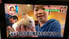 志村動物園