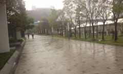 今日は優しい雨