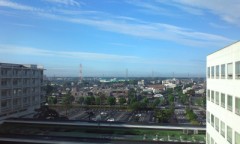 清々しい朝ですね