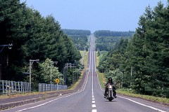 ひとり旅に出たい…