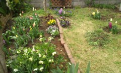 オススメのアプリ教えて！