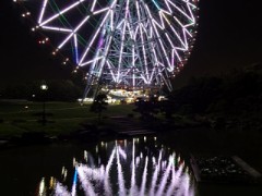 デジカメを買いました