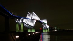 恐竜のお見合い？