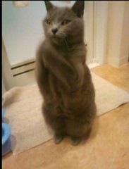 エッチの前、必ずすることは？