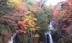 ただいま、日光の戦場ヶ原！