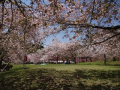 ストレス解消にはどんな事をしてる？