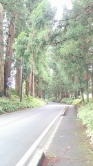 最近自然に触れましたか？