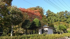 連休明け、今の気分は？