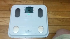 わが家にタニタがやって来た！