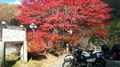 カフェに行った時に注文するもの