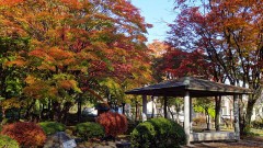 あなたの好きな香水教えて！