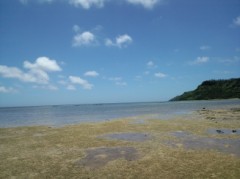 【お題日記】飲み会でのH体験♪