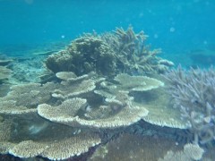 【お題日記】Hの途中に意識が飛んだことある？