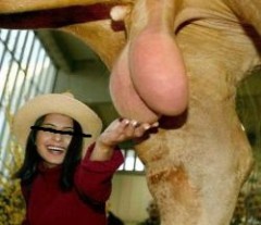 【お題日記】こんなエッチな夢を見てみたい♪