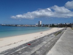 【お題日記】新機能「メール画像添付機能」使ってみた？