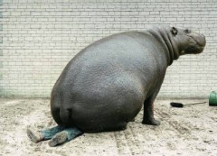 【お題日記】異性に感じるセクシーポイントベスト３