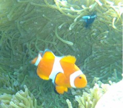 【お題日記】ソフトSMで使える日用品