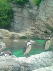横浜動物園ズーラシア