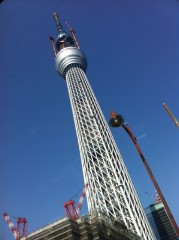 おもわずパチリ。