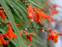 書いて楽になるかな？