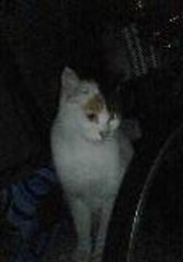 繋ぎ止めるもの。