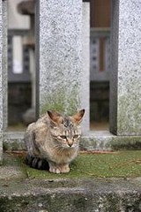 ぷへぇ～