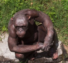 これはすごい。[女装男子] 女装で痴漢にあうのか検証してみた