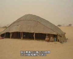 今彼女から浮気相手に送ったぽいメールきた