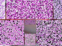 帰ってきたよ。