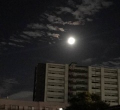 お月様☆