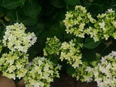 【お題日記】何度でも行きたくなる場所