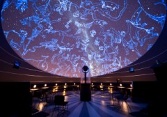 スターリーカフェ