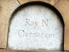 リ インカーネイション