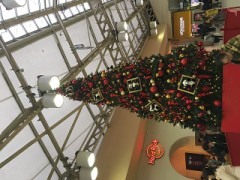 パンダ[パンダ]