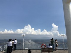 ランチクルーズ