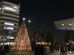 クリスマス